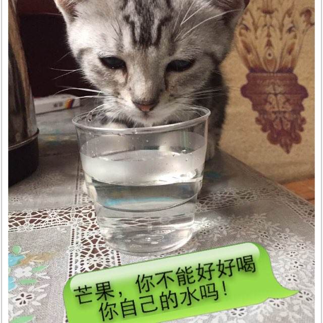 怎么购买兴业银行流水账单